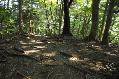 f:id:iku1224:20090916142053j:image f:id:iku1224:20090916142053j:image