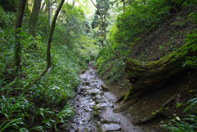 f:id:iku1224:20090916143013j:image f:id:iku1224:20090916143013j:image