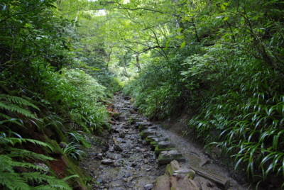 f:id:iku1224:20090916143144j:image f:id:iku1224:20090916143144j:image