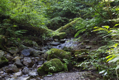 f:id:iku1224:20090916145013j:image f:id:iku1224:20090916145013j:image