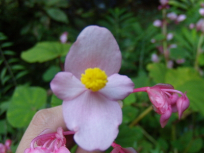 f:id:iku1224:20090916151426j:image f:id:iku1224:20090916151426j:image