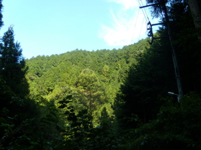 f:id:iku1224:20090916151753j:image f:id:iku1224:20090916151753j:image