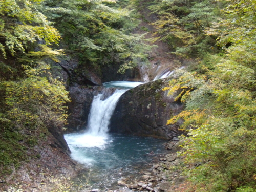 f:id:iku1224:20091010134638j:image f:id:iku1224:20091010134638j:image