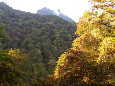 f:id:iku1224:20091010155650j:image f:id:iku1224:20091010155650j:image