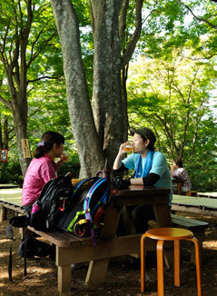 f:id:iku1224:20091228040450j:image f:id:iku1224:20091228040450j:image