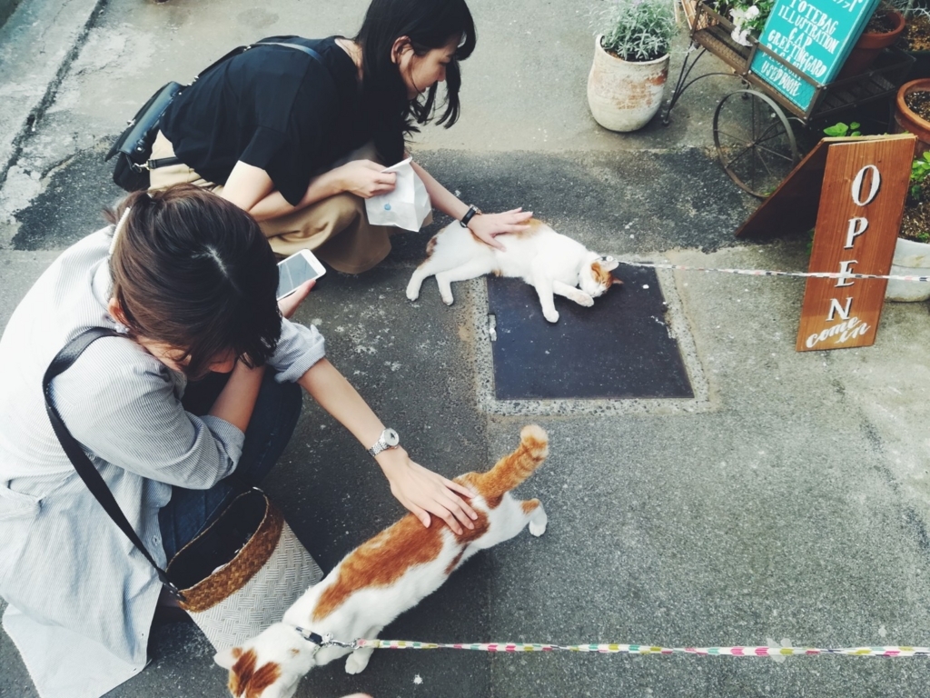 f:id:iku199156:20180423131455j:plain