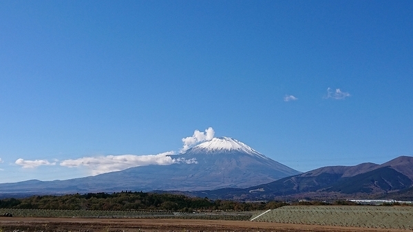 f:id:iku_diary:20181122173251j:image f:id:iku_diary:20181122173251j:image