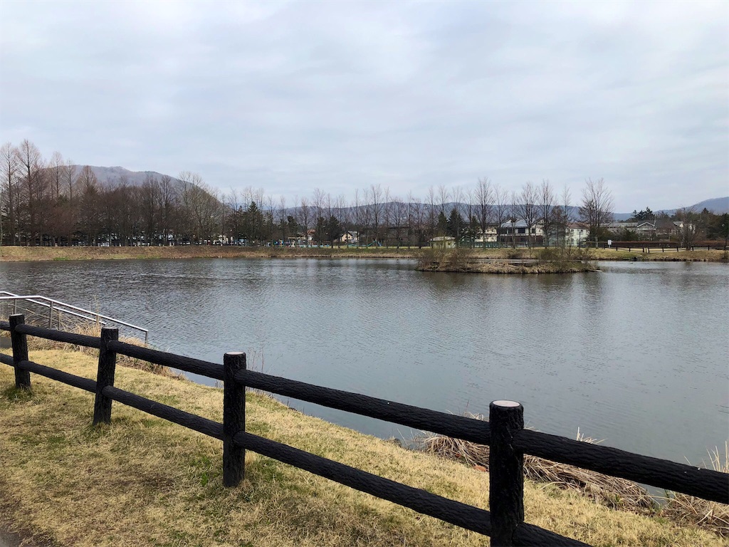 f:id:ikuha_h19824:20190423101729j:image