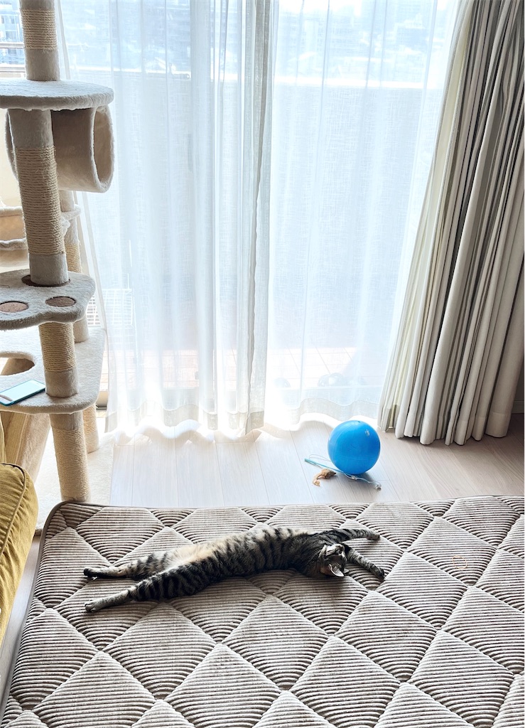 f:id:ikuji-funtouki:20240221202647j:image f:id:ikuji-funtouki:20240221202647j:image