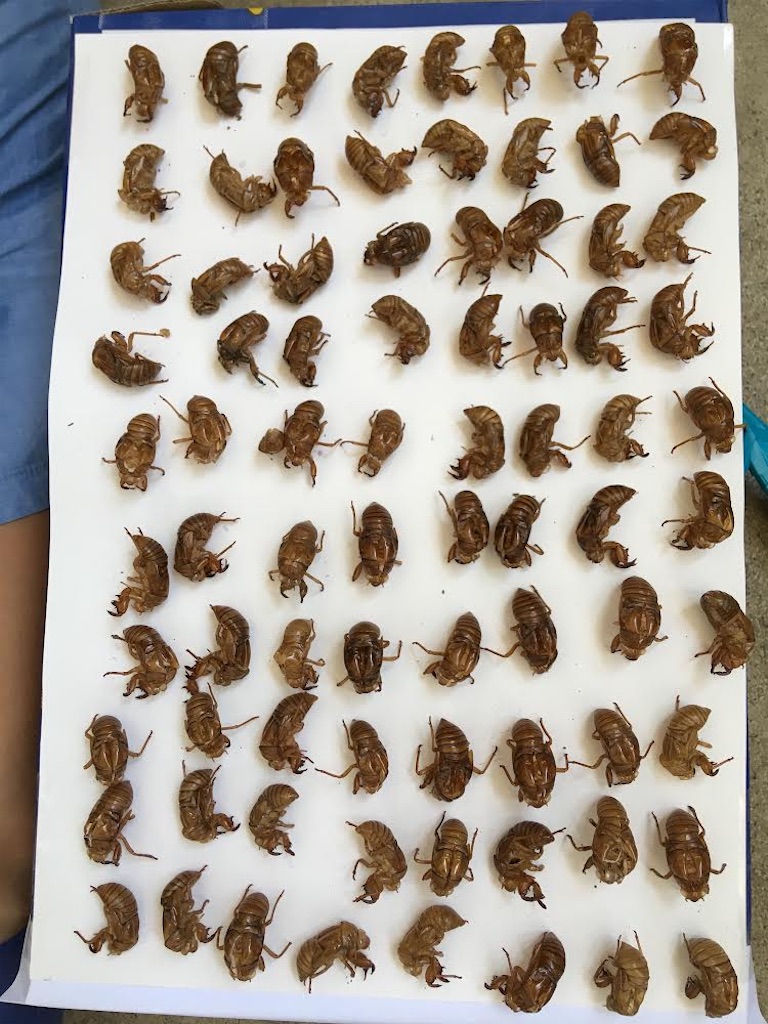 f:id:ikuji-funtouki:20240312100404j:image