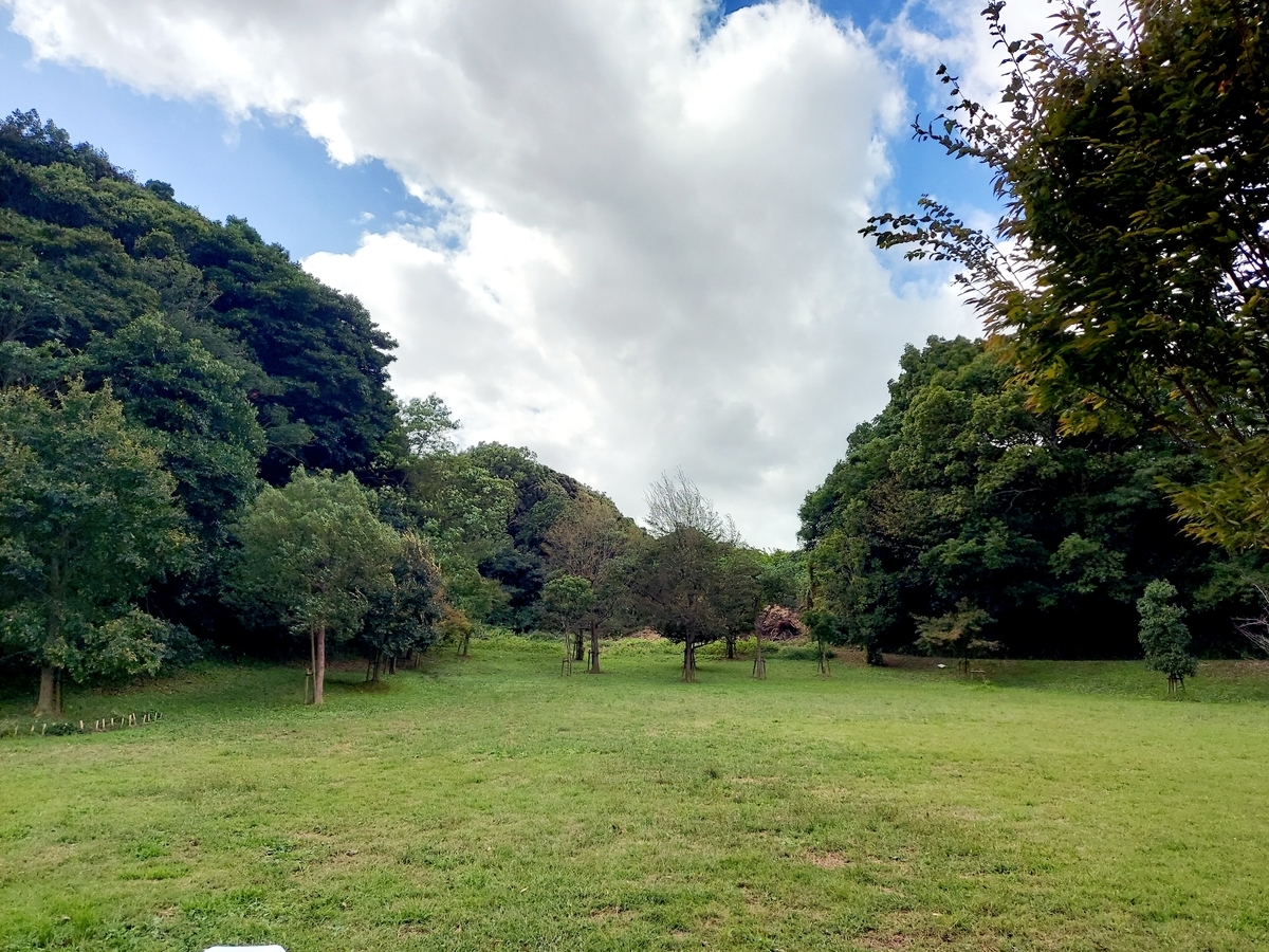 f:id:ikujineko:20211029115525j:plain