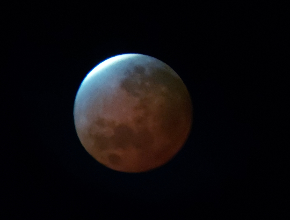 f:id:ikujineko:20211120215258j:plain