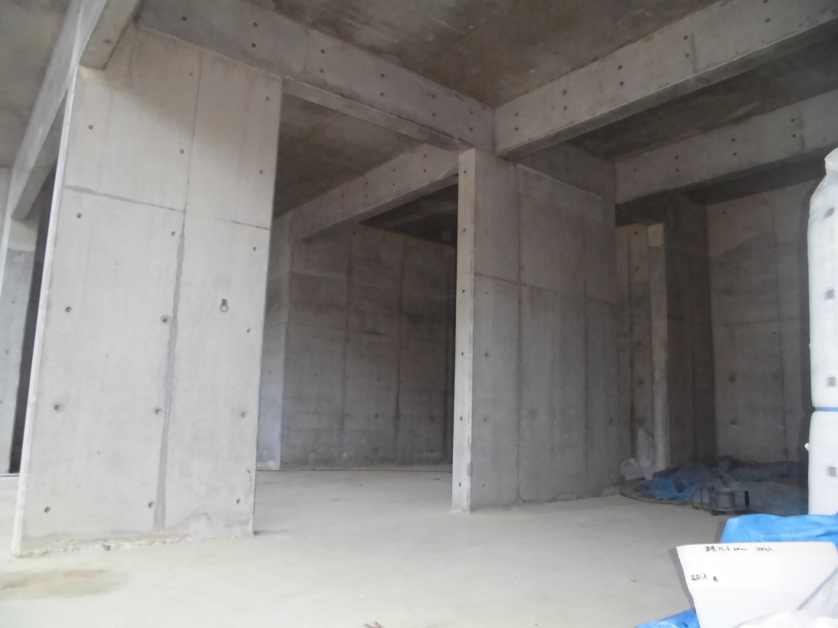 f:id:ikujineko:20220201105341j:plain