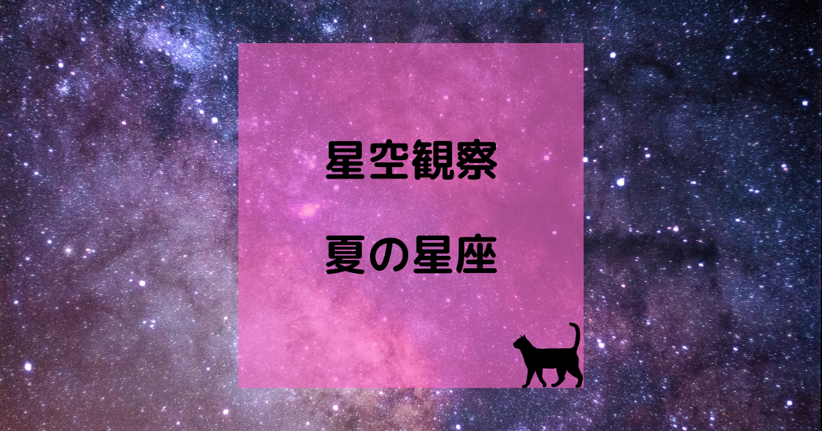 星空観察の宿題 育児猫の育児日記 星空観察の宿題 育児猫の育児日記