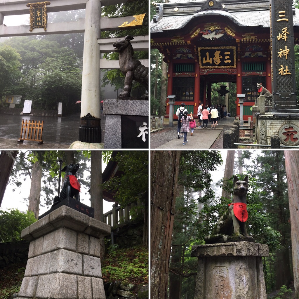 f:id:ikuko1953wata:20170705134305j:image f:id:ikuko1953wata:20170705134305j:image