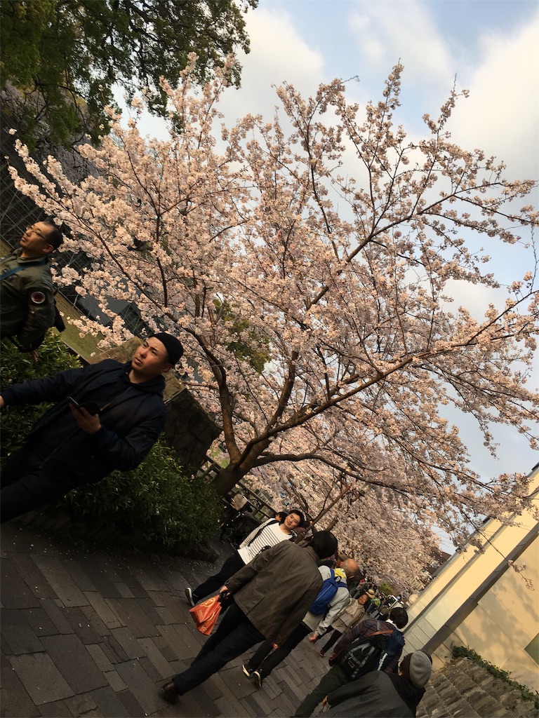 f:id:ikukofujimura:20190403004743j:image f:id:ikukofujimura:20190403004743j:image