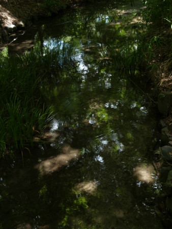 f:id:ikukona:20100718123906j:image