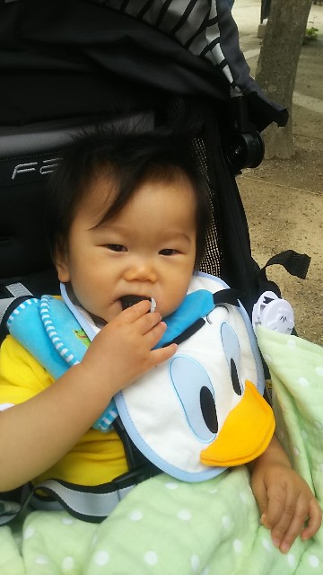 f:id:ikukyuchu:20180524185248j:image