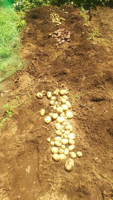 f:id:ikukyuchu:20180625182058j:image