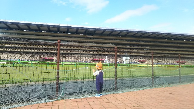 f:id:ikukyuchu:20181015223251j:image f:id:ikukyuchu:20181015223251j:image