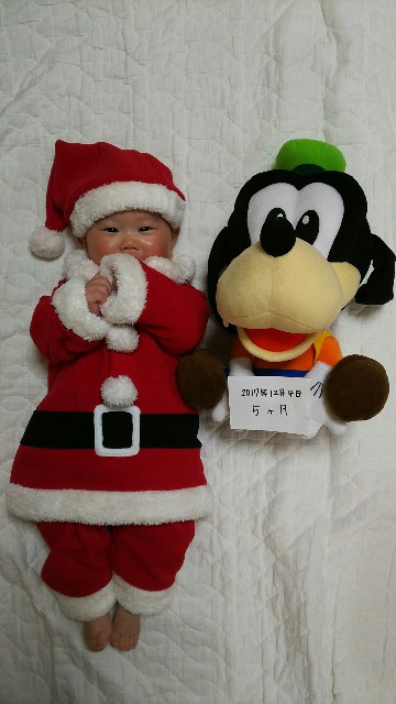 f:id:ikukyuchu:20181204111435j:image