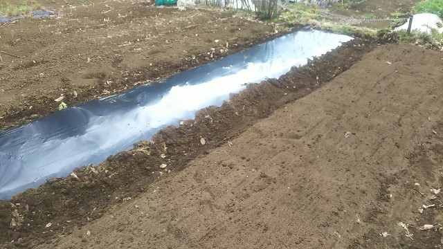 f:id:ikukyuchu:20190221052038j:image f:id:ikukyuchu:20190221052038j:image