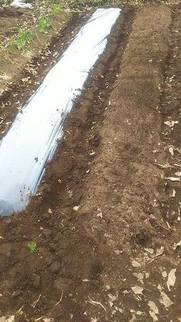 f:id:ikukyuchu:20190221052630j:image f:id:ikukyuchu:20190221052630j:image