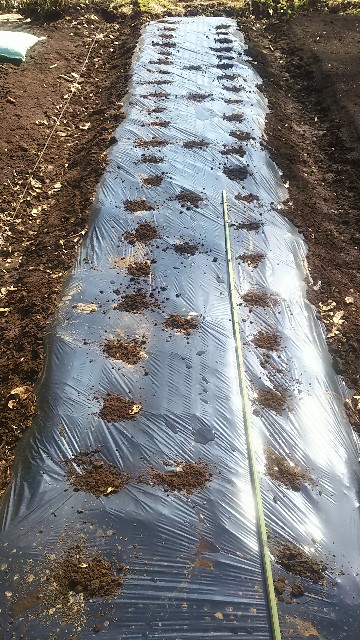 f:id:ikukyuchu:20190302114547j:image f:id:ikukyuchu:20190302114547j:image