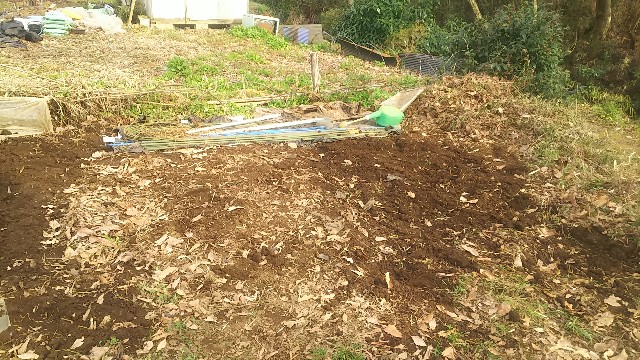 f:id:ikukyuchu:20190326065349j:image