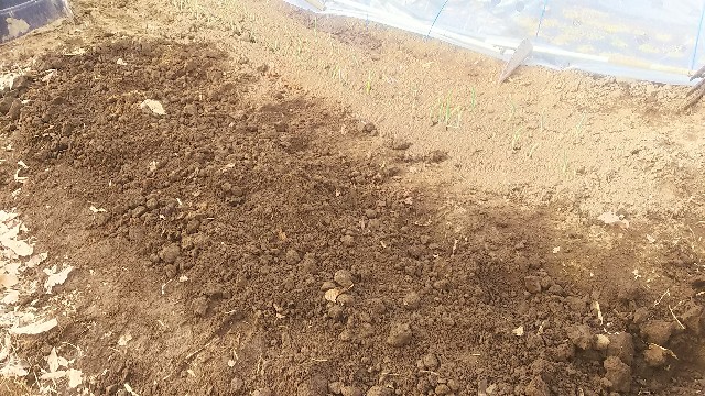 f:id:ikukyuchu:20190326065500j:image