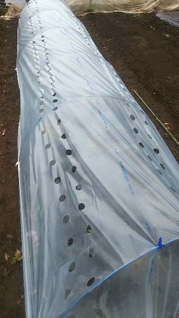 f:id:ikukyuchu:20190331122744j:image