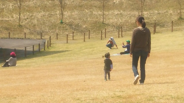 f:id:ikukyuchu:20190407140051j:image