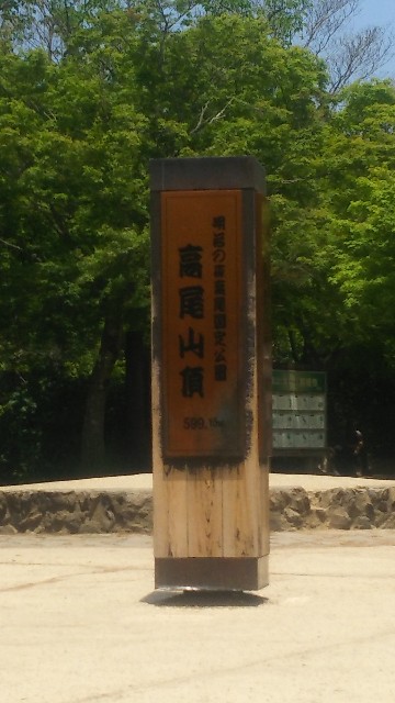 f:id:ikukyuchu:20190607110540j:image