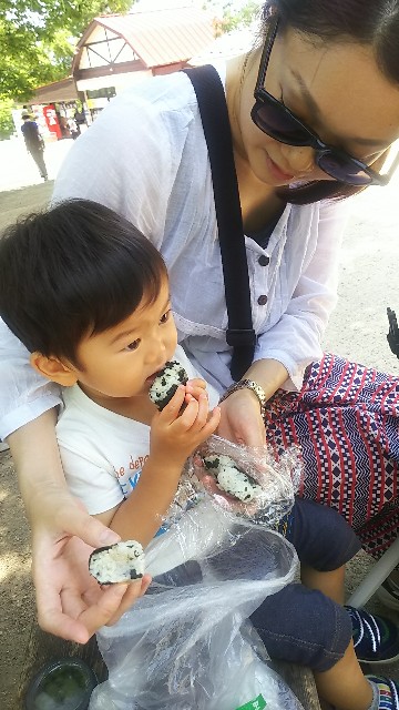 f:id:ikukyuchu:20190607110634j:image