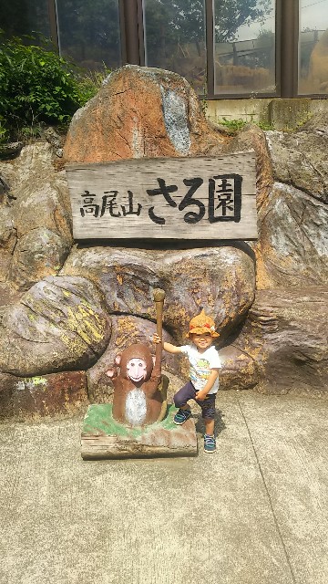 f:id:ikukyuchu:20190607114157j:image