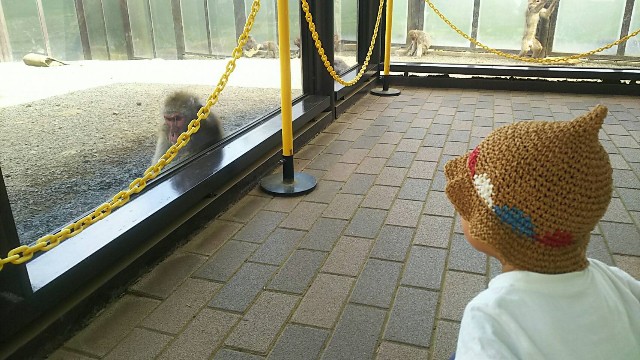 f:id:ikukyuchu:20190607115256j:image