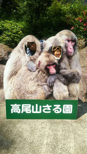 f:id:ikukyuchu:20190607115434j:image