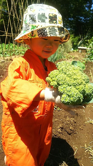 f:id:ikukyuchu:20190617173033j:image