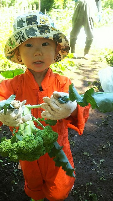 f:id:ikukyuchu:20190617173045j:image