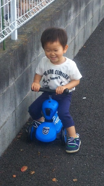 f:id:ikukyuchu:20190626204242j:image