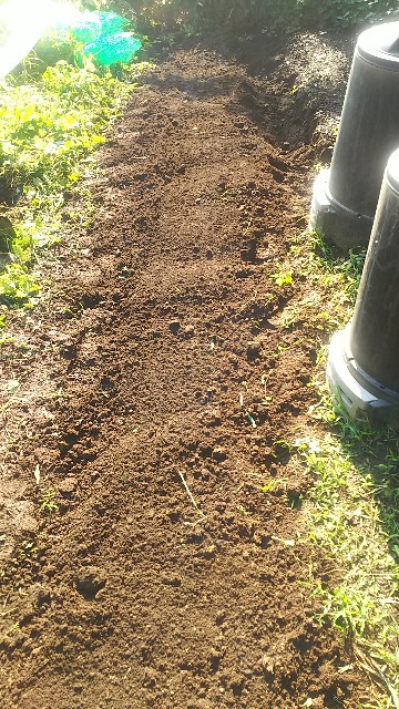 f:id:ikukyuchu:20190825111707j:image