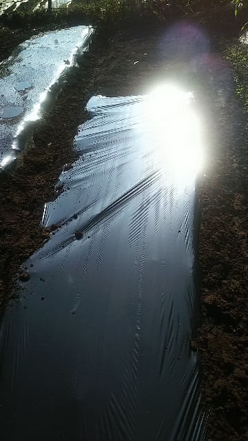 f:id:ikukyuchu:20190825112345j:image