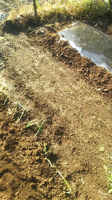 f:id:ikukyuchu:20190825112725j:image