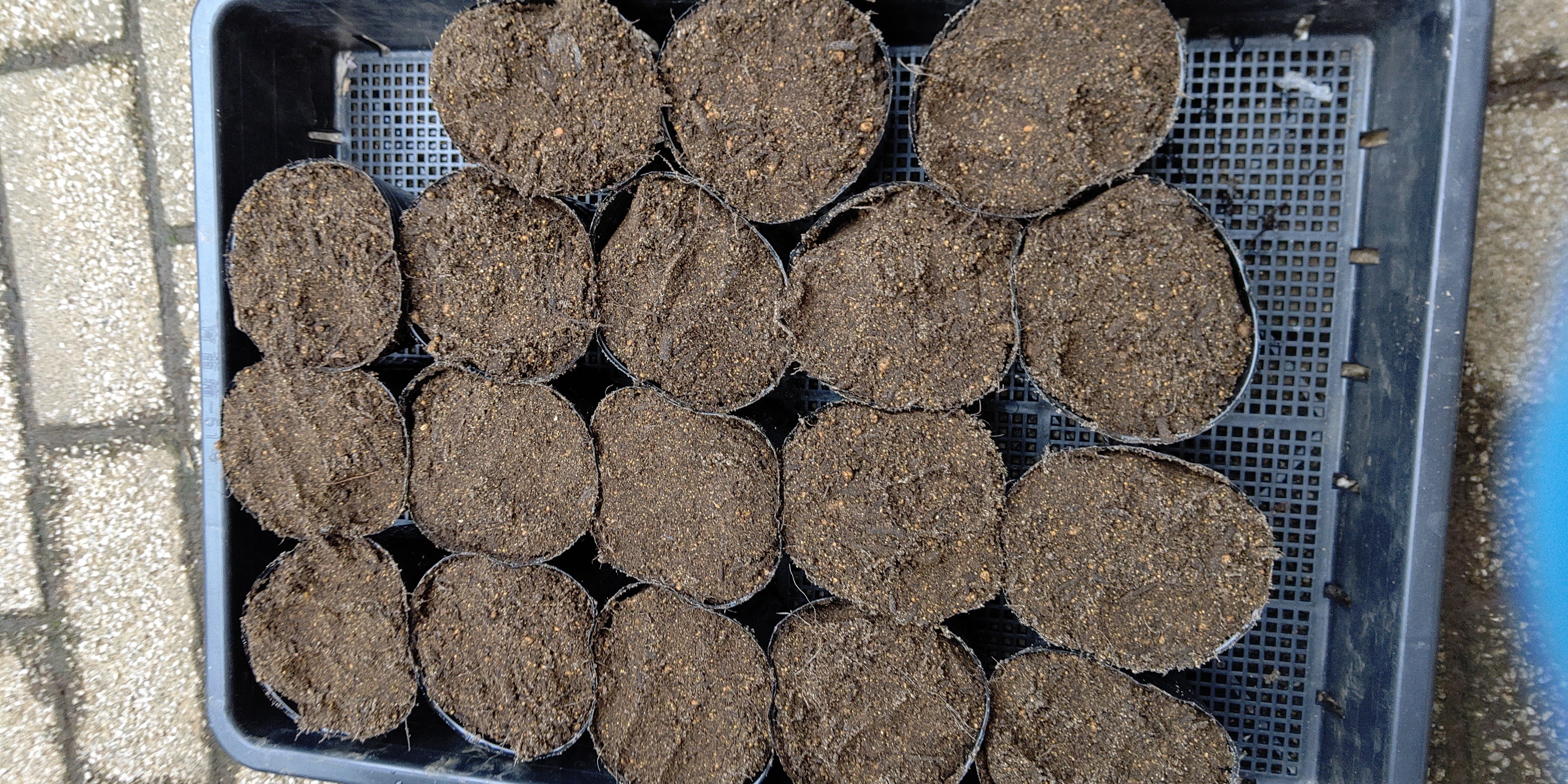 f:id:ikukyuchu:20191020164954j:image