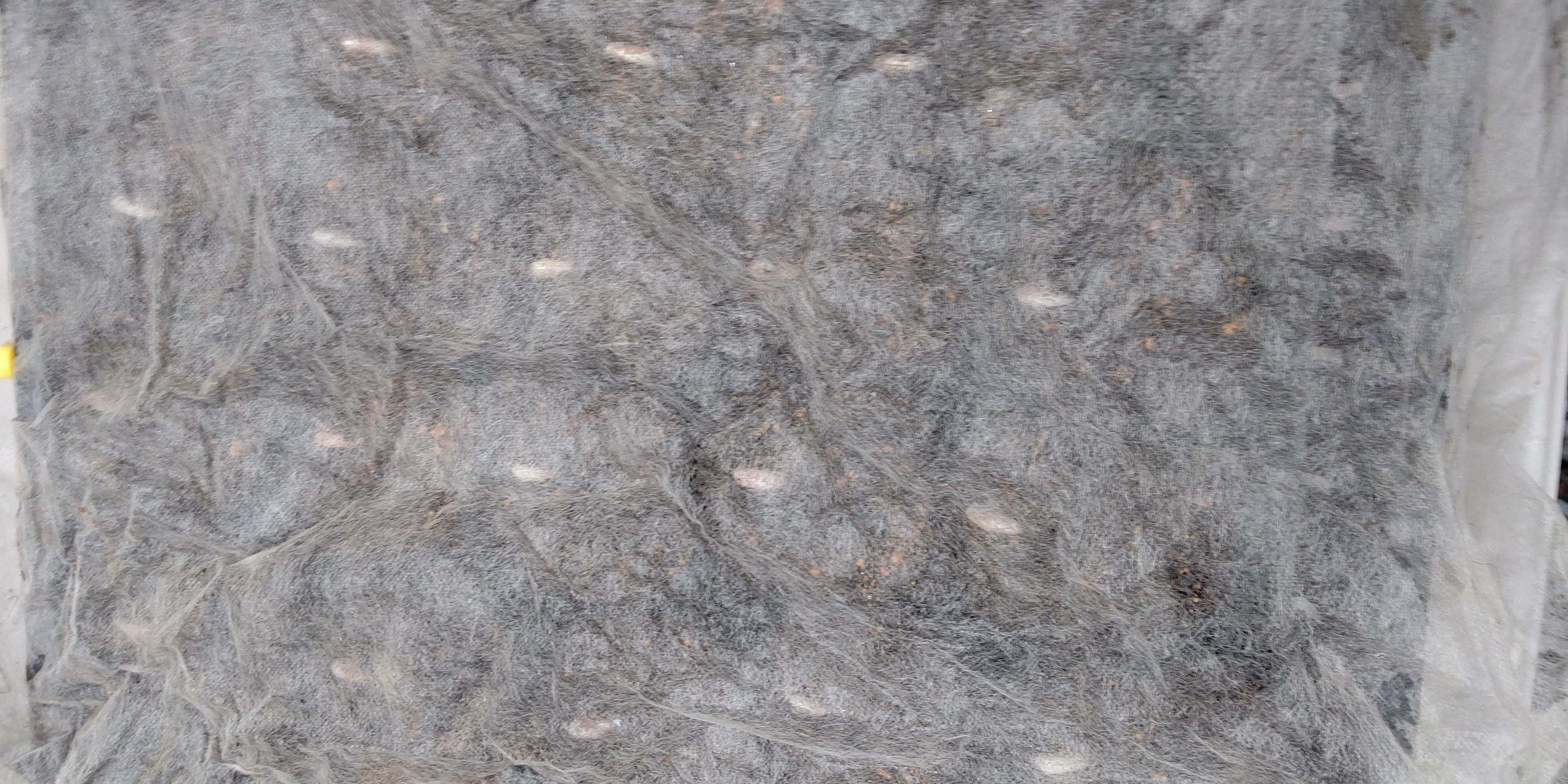 f:id:ikukyuchu:20191020174338j:image