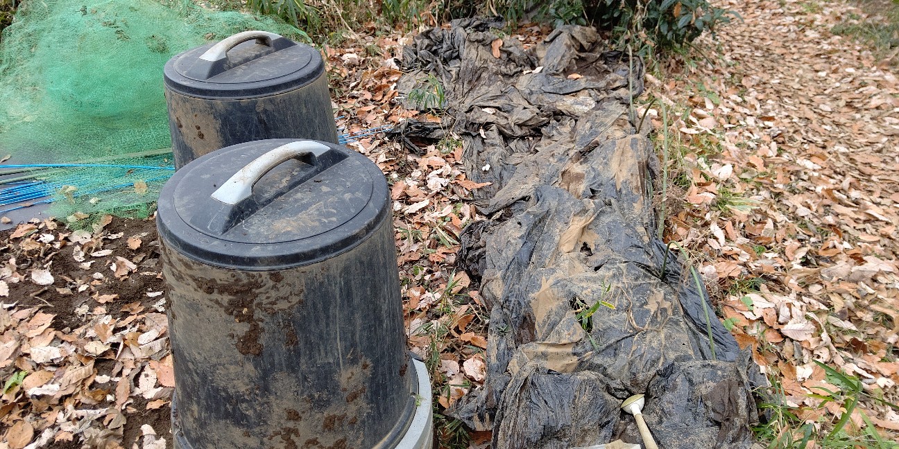 f:id:ikukyuchu:20191223111943j:image