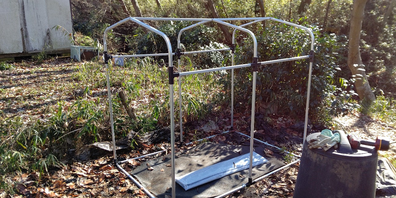 f:id:ikukyuchu:20200110113202j:image