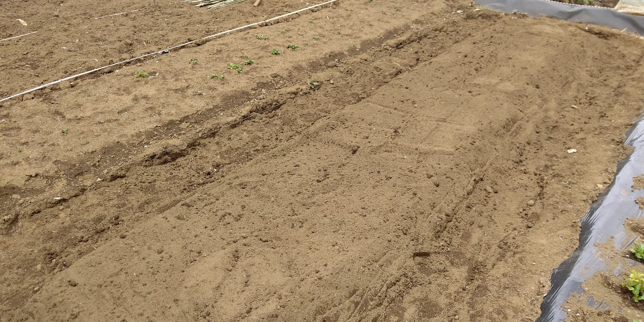 f:id:ikukyuchu:20200413054001j:image