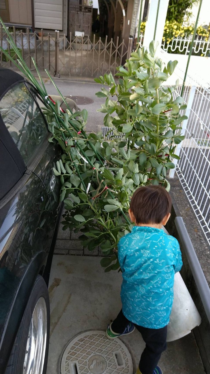 f:id:ikukyuchu:20200427090700j:image f:id:ikukyuchu:20200427090700j:image