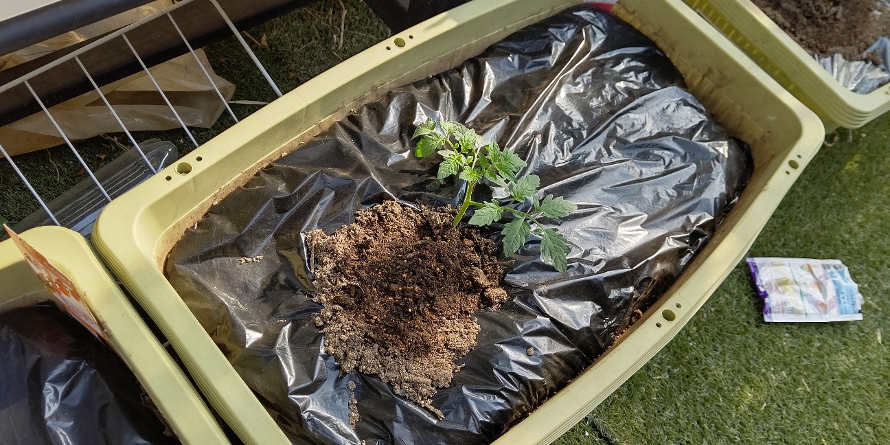 f:id:ikukyuchu:20200427092220j:image f:id:ikukyuchu:20200427092220j:image